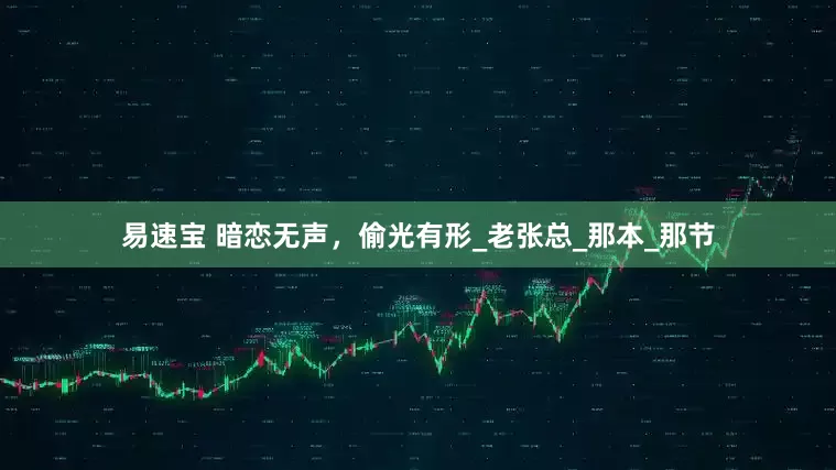 易速宝 暗恋无声，偷光有形_老张总_那本_那节