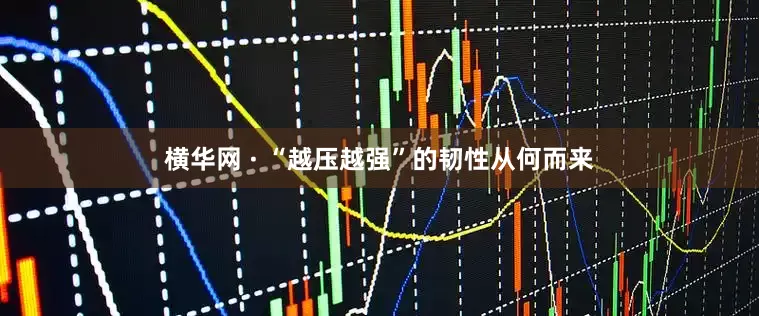 横华网 · “越压越强”的韧性从何而来
