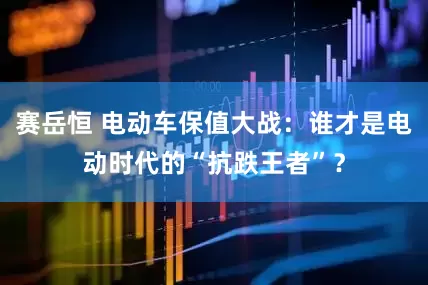 赛岳恒 电动车保值大战：谁才是电动时代的“抗跌王者”？