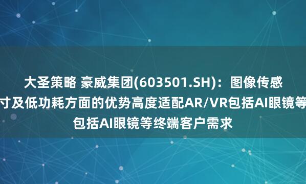 大圣策略 豪威集团(603501.SH)：图像传感器产品在小尺寸及低功耗方面的优势高度适配AR/VR包括AI眼镜等终端客户需求