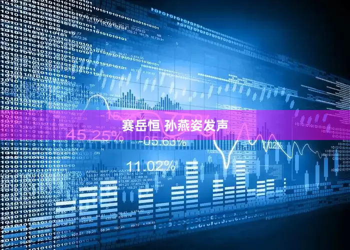 赛岳恒 孙燕姿发声