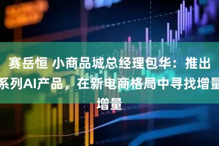 赛岳恒 小商品城总经理包华：推出系列AI产品，在新电商格局中寻找增量